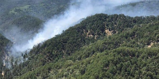 Kızıldağ’daki orman yangını kontrol altına alındı