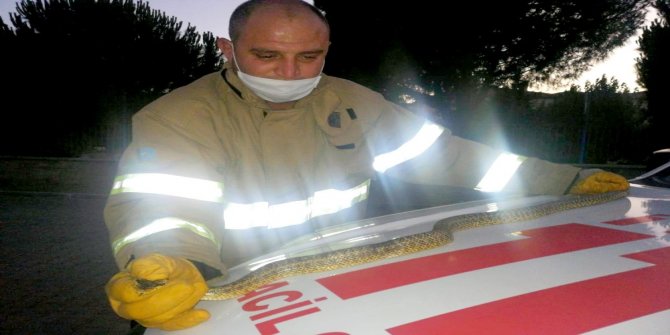 Edremit’te aracın içindeki yılanı itfaiye ekipleri çıkardı