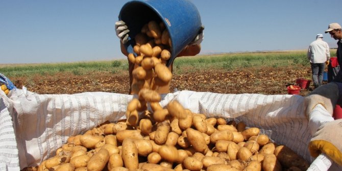İşçi aracısıydı üretici oldu