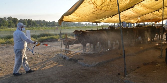 Çiğli’de hayvan pazarları dezenfekte edildi