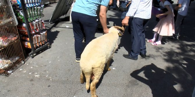 Ayasofya Camii açılışına kurbanlık koçla geldi