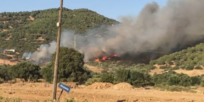 İzmir’de korkutan orman yangını: 2 helikopter, 9 arazöz müdahale ediyor