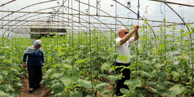 45 yaşında tarıma başladı, köyün örnek bahçesini kurdu