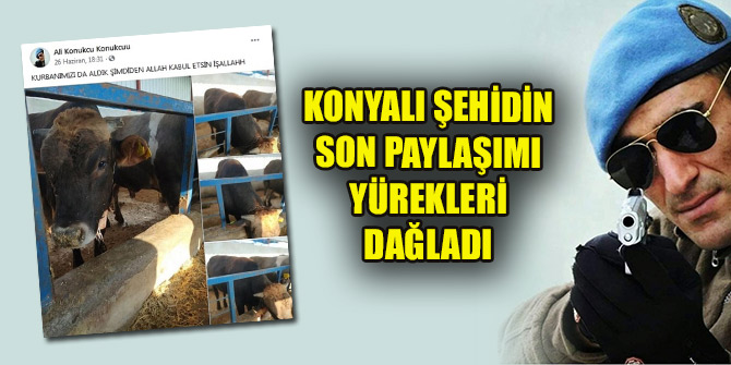 Konyalı şehidin son paylaşımı yürekleri dağladı
