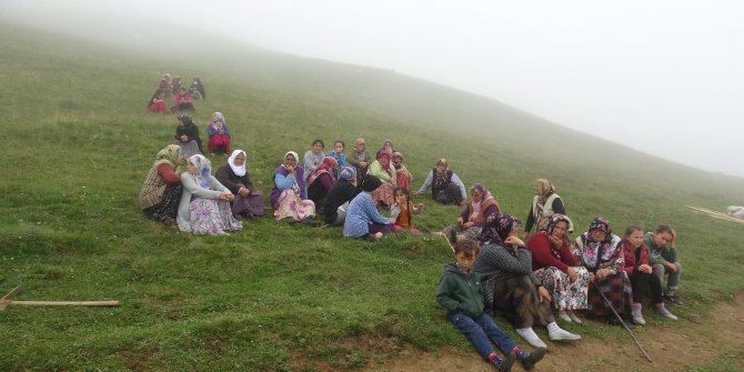 11 yaşındaki Elif, yaylada kayboldu, ekipler seferber oldu