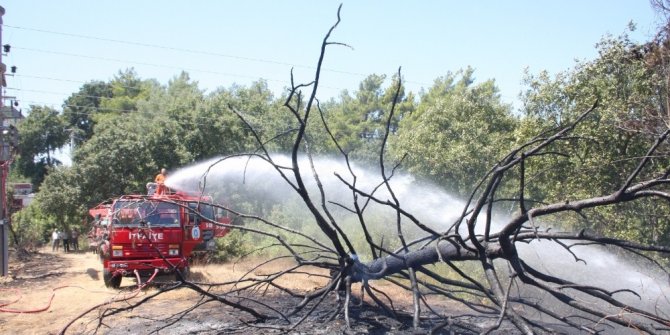 Sıcak sebebiyle aşırı yüklenen trafo yangına sebep oldu