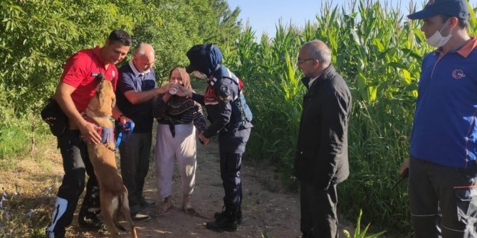 Kayıp yaşlı kadını mısır tarlasında ‘Kahve’ buldu