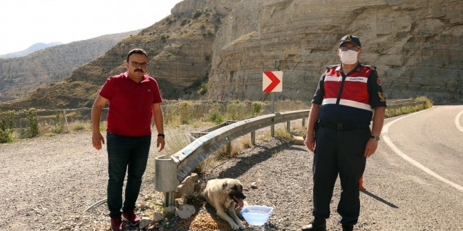 Sıcaktan etkilenen hayvanlara su ve yiyecek götürdüler
