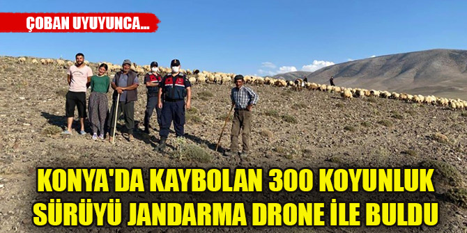 Konya'da kaybolan 300 koyunluk sürüyü jandarma drone ile buldu