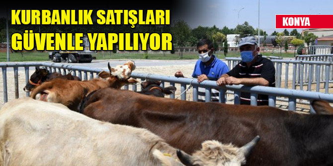 Konya’da kurbanlık satışları güvenle yapılıyor