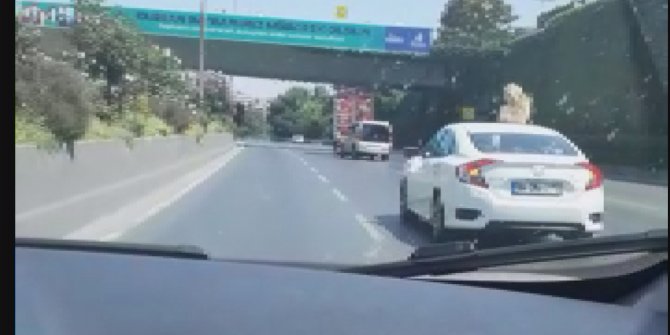 Düğün konvoyundan akılalmaz görüntüler