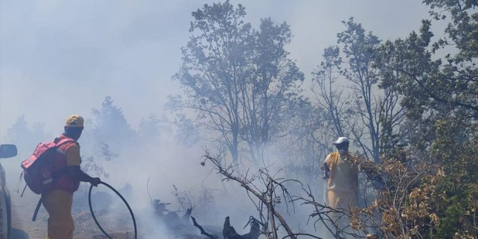 Siirt'in Baykan ilçesinde çıkan orman yangını kontrol altına alındı