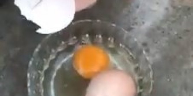 Yumurtanın içinden yumurta çıktı