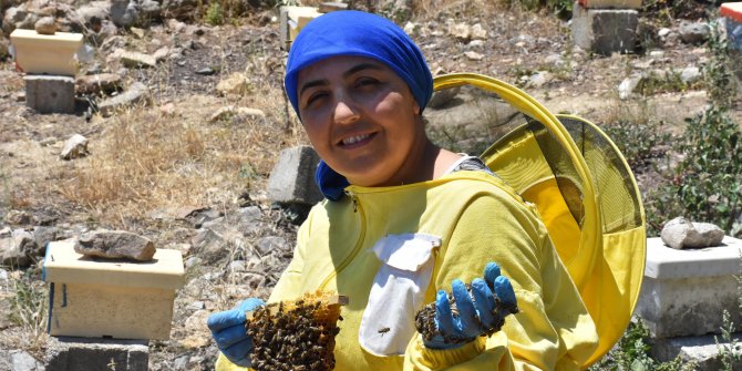 Ürettiği kraliçe arıların tanesini 100 liradan satıyor