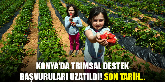 Konya'da trımsal destek başvuruları uzatıldı! Son tarih...
