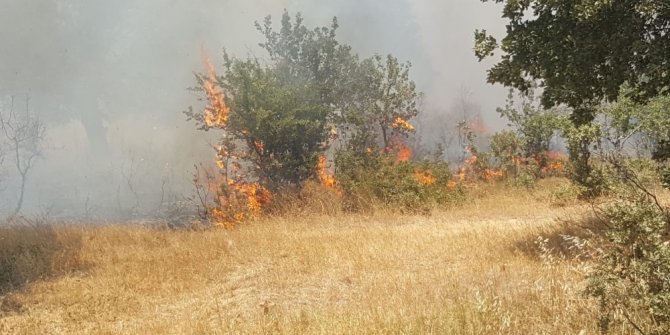 Çanakkale’da korku dolu anlar...