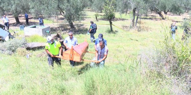 Otomobil zeytin bahçesine uçtu: İmam ve kayınpederi öldü