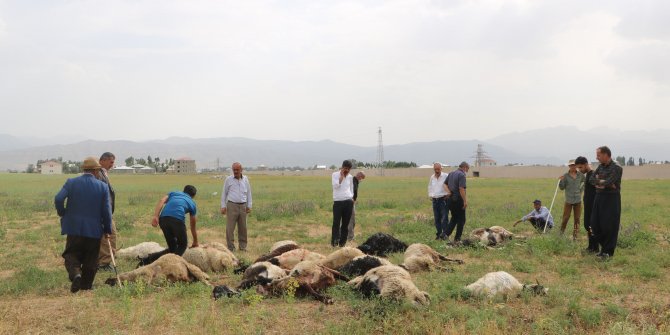 Yüksekova'da yıldırımlar can aldı: 1 kişi öldü, 19 koyun telef oldu