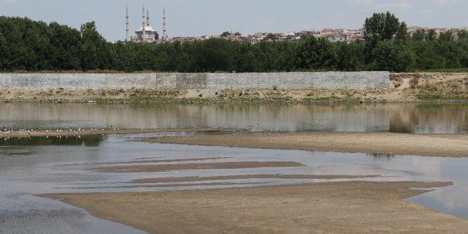Komşuda ‘inek ölümleri’ iddiası üzerine Meriç’te harekete geçildi