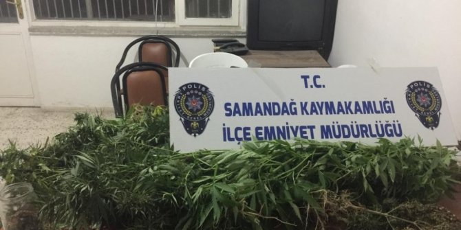 Samandağ’da uyuşturucu operasyonu