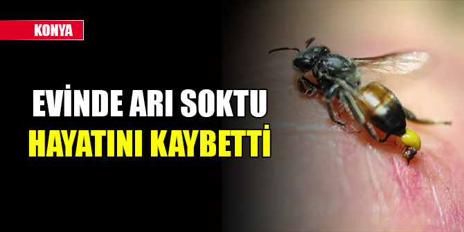 Konya'da evinde arının soktuğu kişi hayatını kaybetti