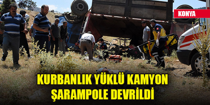 Konya'da kurbanlık yüklü kamyon şarampole devrildi: 3 yaralı