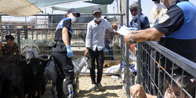 Polis sahte parayla hayvan aldı, kontrol etmeyen satıcıyı uyardı
