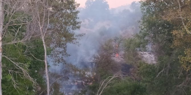 Elazığ’da orman yangını, 30 dönüm zarar gördü