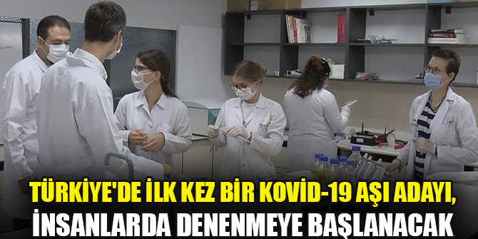 Kovid 19'da aşı müjdesi Ankara'dan geldi; İnsan denemelerine başlanacak