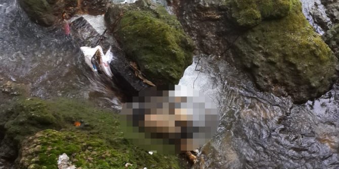 55 gündür kayıptı, şelalede cesedi bulundu