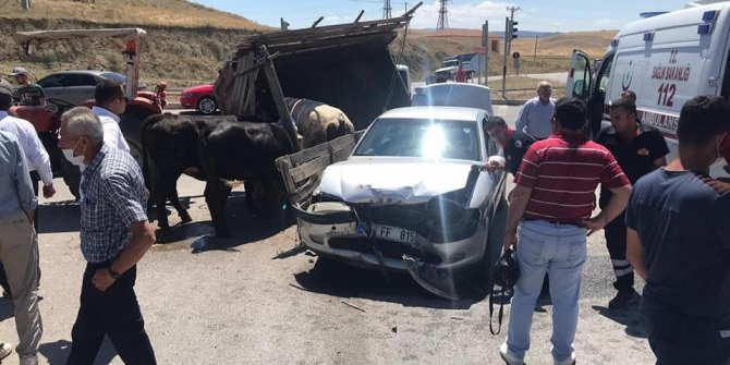 Otomobil hayvan taşıyan traktörle çarpıştı: 1 yaralı