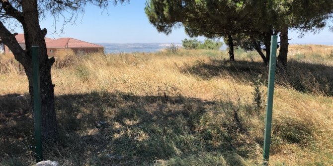 Koca dehşeti! Silahla eşini öldürdü