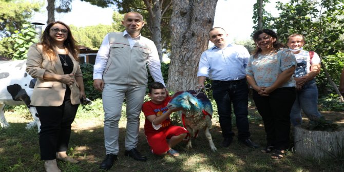 CİMER'den kurbanlık isteyen vatandaşa, Bakan Pakdemirli'den hediye koç