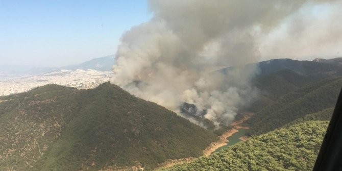 İzmir’de büyük orman yangını
