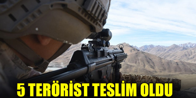 Şırnak'ta 5 PKK'lı terörist teslim oldu