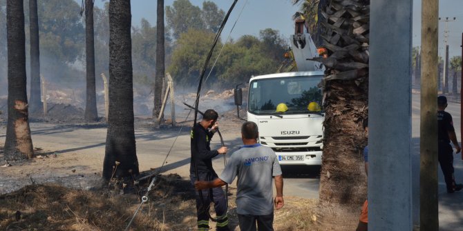 Kaplumbağayı alevlerin arasından kurtarıp, suyla serinlettiler