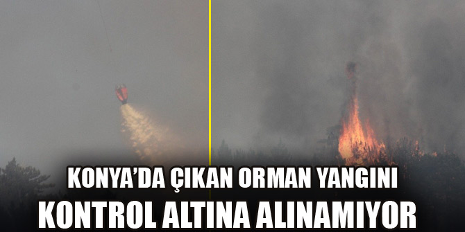 Konya’da çıkan orman yangını kontrol altına alınamıyor