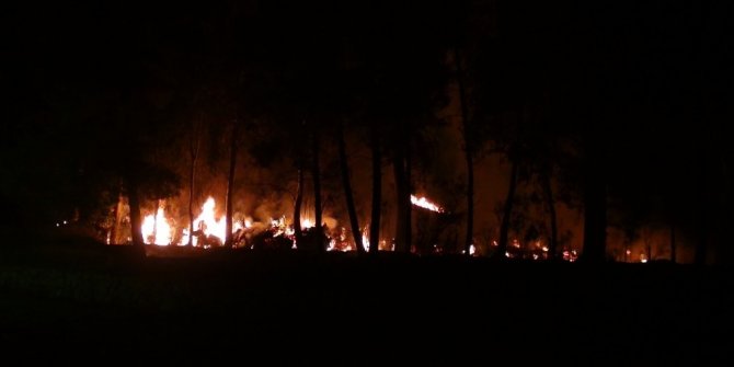 Çöp dökülen alanda başlayan yangın ağaçlara sıçradı