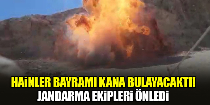 Hainler bayramı kana bulayacaktı! Jandarma ekipleri önledi