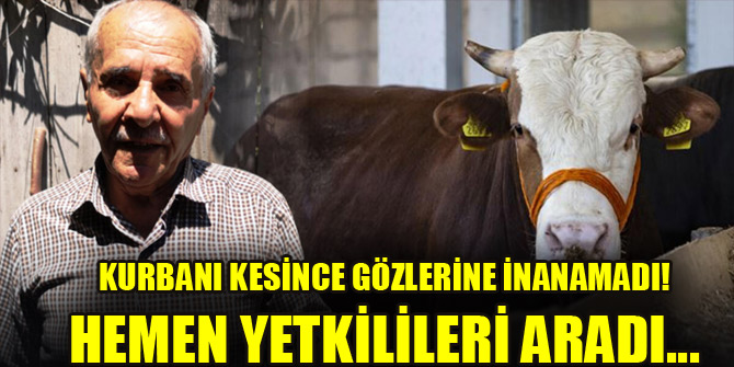 Kurbanı kesince gözlerine inanamadı! Hemen yetkilileri aradı...