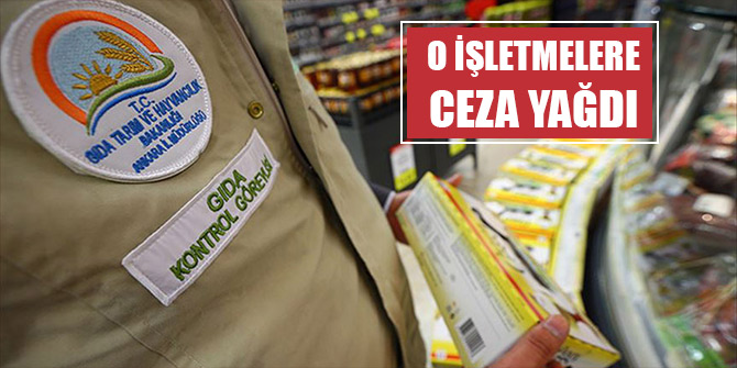 Bakan Pakdemirli duyurdu: O işletmelere ceza yağdı