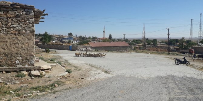 Konya'da kaybolan küçükbaş hayvanları AFAD ekipleri buldu