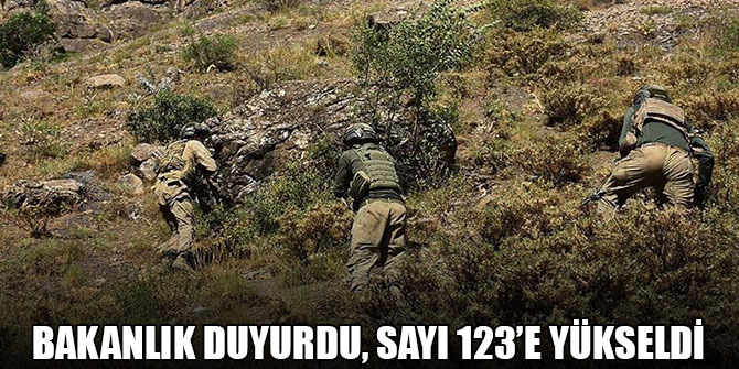 Bir terörist daha ikna yoluyla teslim oldu