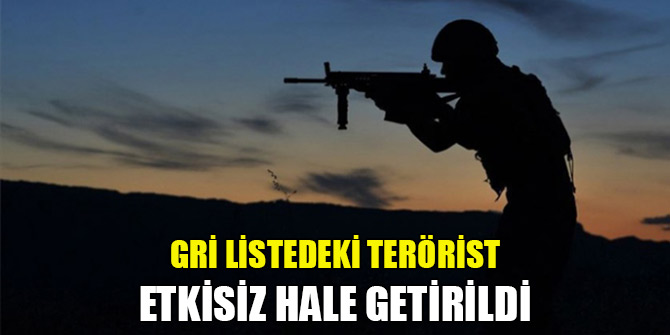 Gri listedeki terörist etkisiz hale getirildi