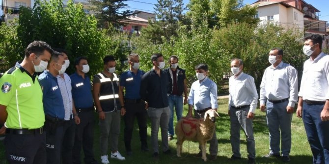 Belediye Başkanı tatlı yerine kurbanlık götürdü