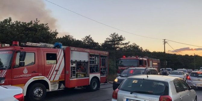 Kayışdağı ormanında yangın çıktı