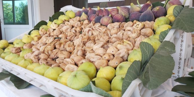 Nazilli’de sezonun ilk incir alım satımı gerçekleştirildi