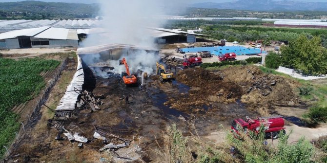 Antalya’da çiftlikteki yemler alev alev yandı