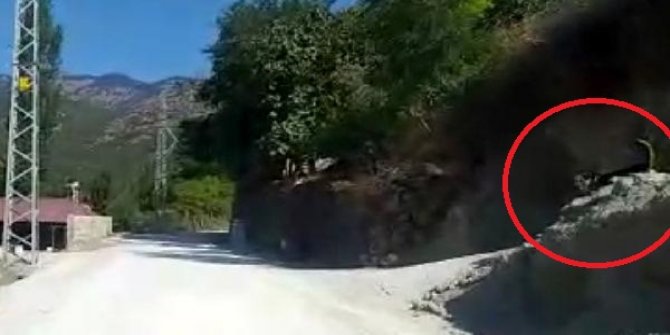 Köpeğin saldırdığı motosiklet sürücüsü kaza yaptı; o anlar kemarada