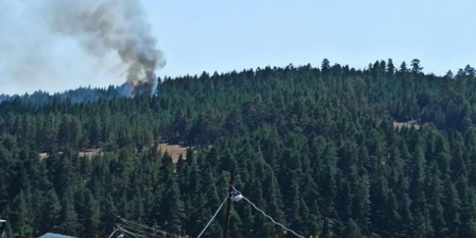 Bolu'da ormanlık alanda yangın